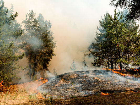 Independent Laboratory Confirms NoIgnis Performance in Latest Wildfire Test Series