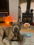 IMG_0811.jpeg