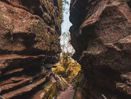 Parque do Monge Reaberto