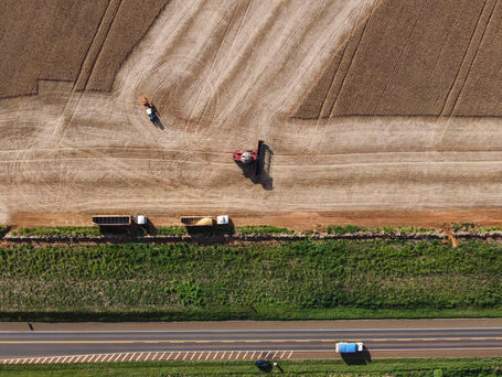 Paraná ultrapassa Rio Grande do Sul e vira quarta maior economia do Brasil