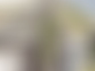 Obra de R$ 274 mi vai duplicar ligação entre Matinhos e Praia de Leste, no Litoral