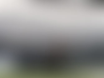 Athletico Paranaense inicia troca do gramado da Arena da Baixada