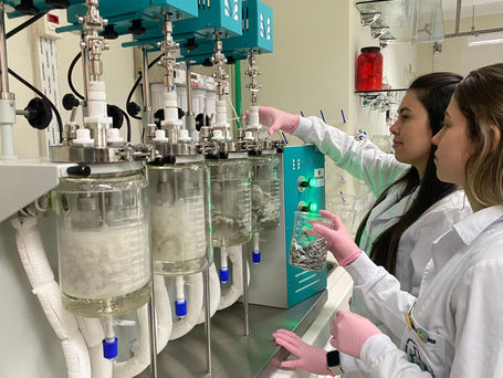 Unioeste desenvolve projeto para transformar resíduos de tilápia em colágeno