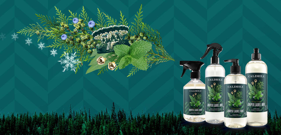 Festive banner image featuring bottles of Caldrea cleaning products with Juniper Laurel Mint fragrance and branding