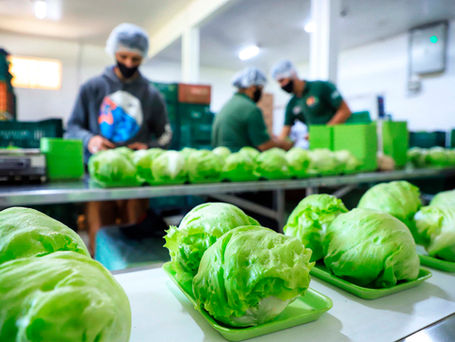 Paraná amplia vantagem como maior produtor de orgânicos do país