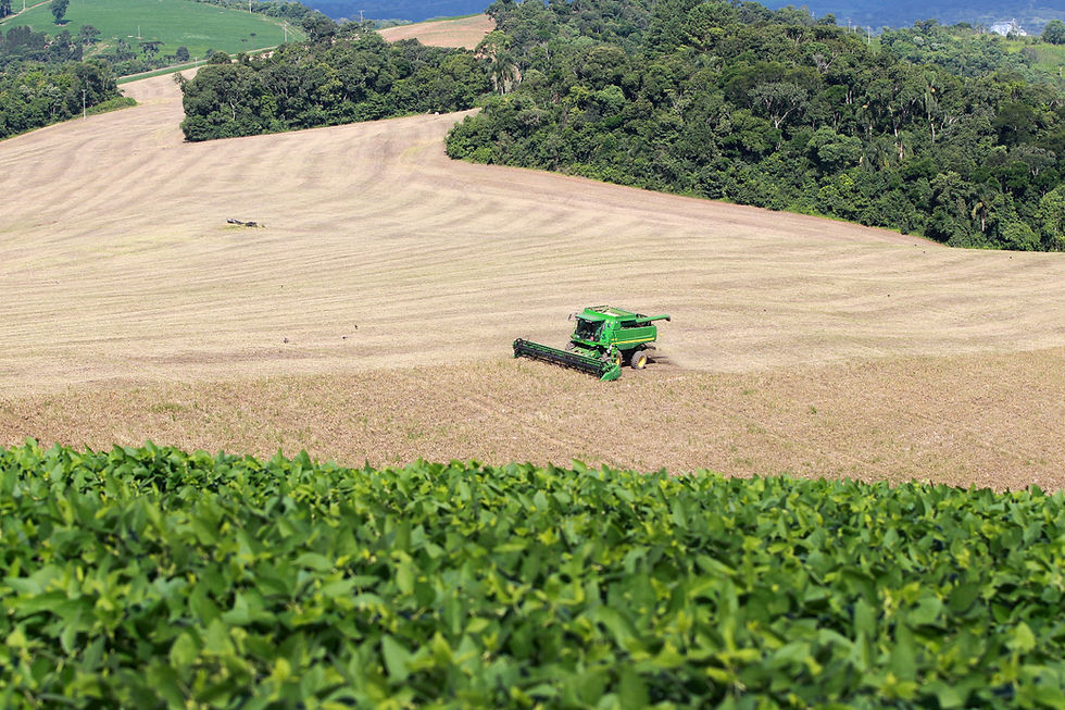 Primeira previsão do Deral para a safra de verão aponta volume recorde no Paraná