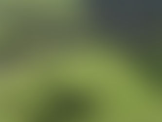 Proprietários rurais têm até 16 de agosto para emitir cadastro de imóvel