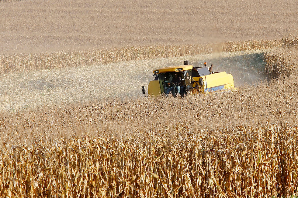 Paraná desponta como novo polo de etanol de milho com salto de 71% na produção