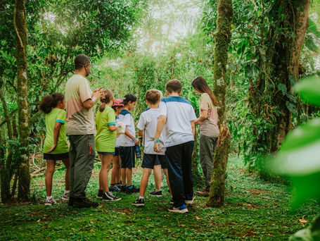 Rede Municipal de Morretes inclui disciplina de Educação Sustentável para crianças
