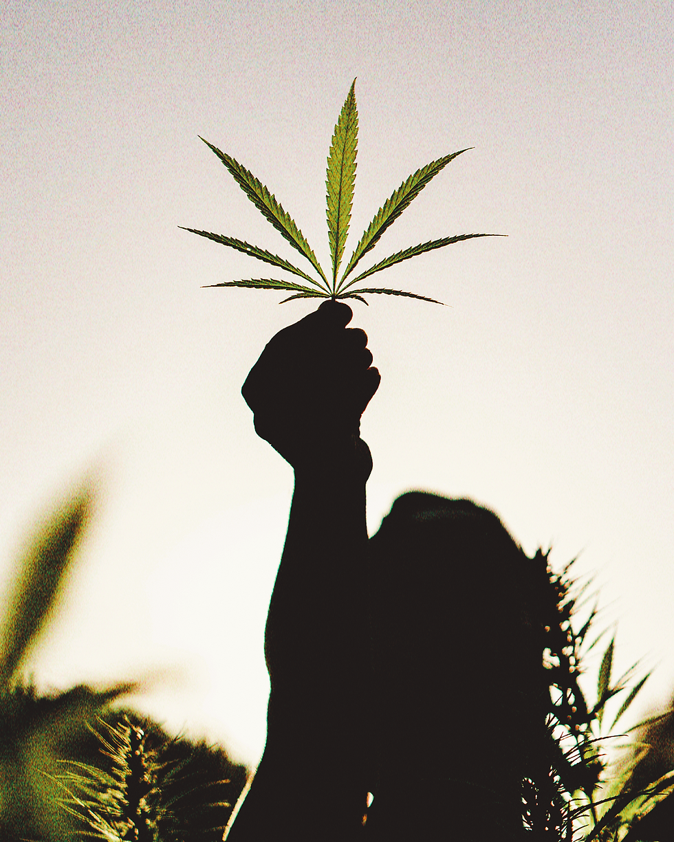 Evento Canábico 0001 (1)