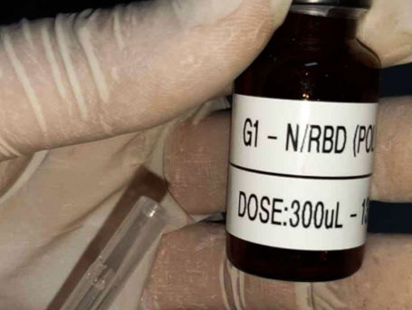 Primeiros testes clínicos de vacina brasileira contra a covid-19 terão 400 voluntários