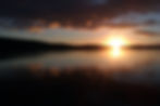 IMAG0445