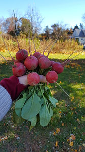 Resized_20161121_110955.jpeg