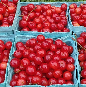 55ef6b24-6b15-4e2f-a153-523c0672edb6_edi