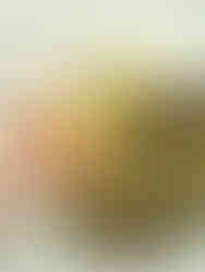 Coings et châtaignes