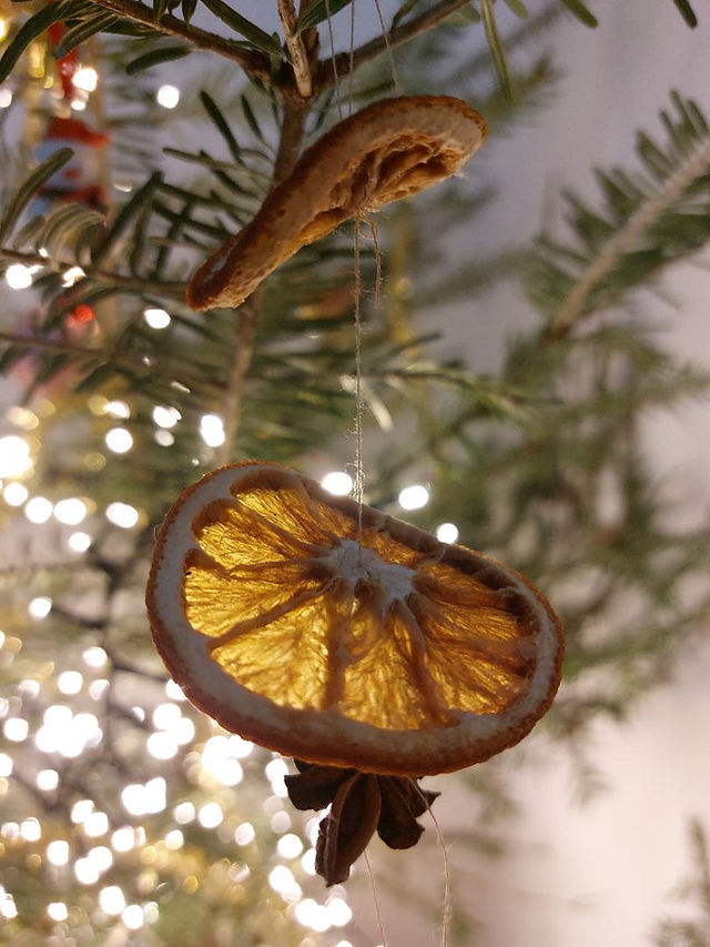 décoration de Noël orange séchée