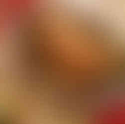 Rôti de Noël végétal