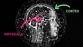 What Your Brain Does During Family or Couple Conflict - Why Couple's Conflict Just Gets Worse