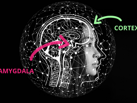 What Your Brain Does During Family or Couple Conflict - Why Couple's Conflict Just Gets Worse