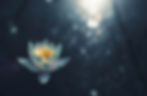 Reiki Flower