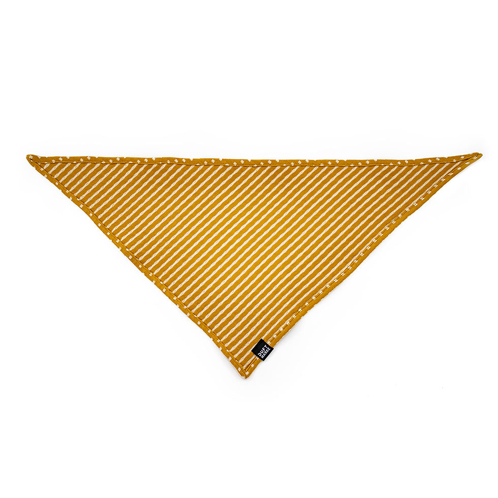 Miniaturbild: Hundehalstuch Dots & Stripes Curry
