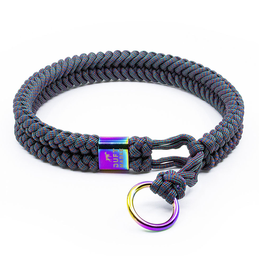 Hundehalsband von Duftmarke aus Paracord in bunten Farben mit Regenbogen Applikation