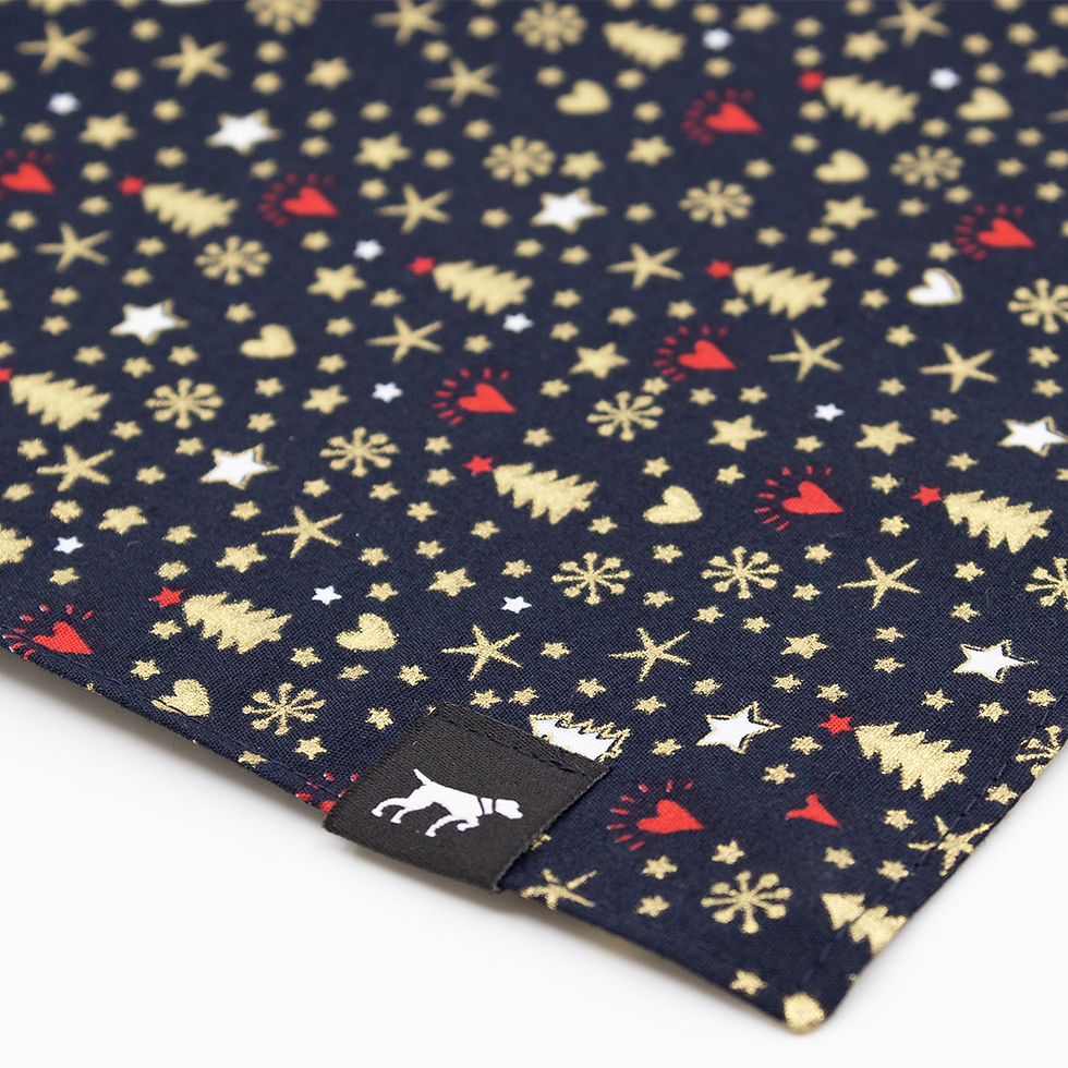 Miniaturbild: Hundehalstuch Cani Christmas Blau