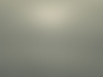 Glimpse Through the Fog