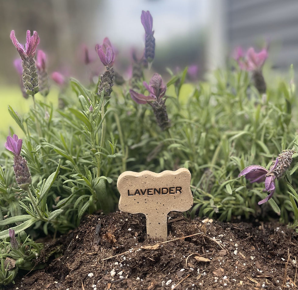 Handmade Ceramic Garden Stakes