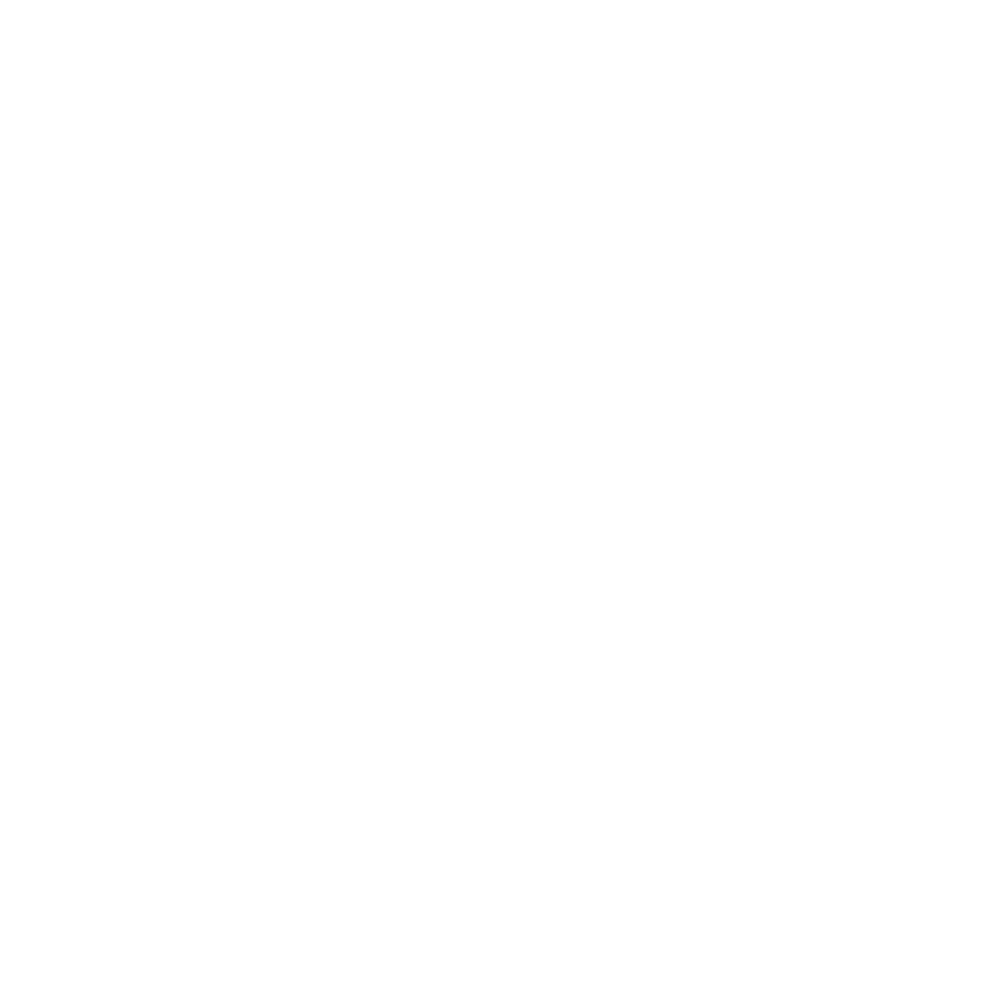 Logo_Anim_v2.gif