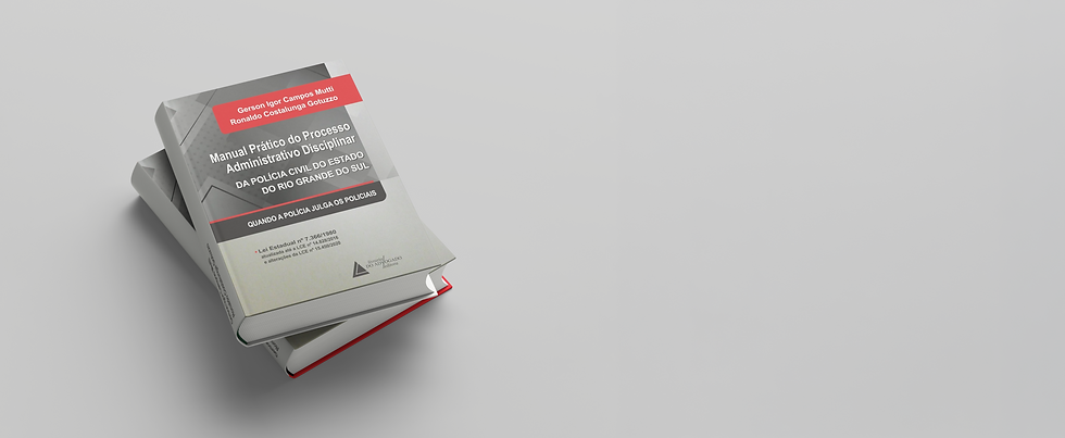 mockup livro.png