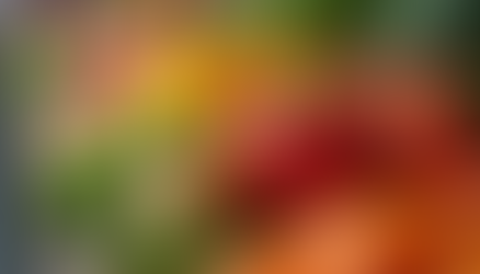 Maximizing Health Benefits with a Minimally Processed, Whole Food, Plant-Based Eating Pattern