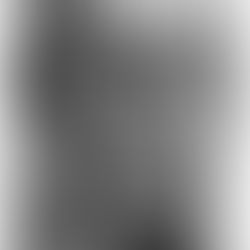 A drawing of a bear being attacked by bees as it tries to steal their honey.