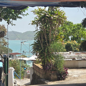 Man in orange vest sleeps on steps beside a building. Greenery and blue sea in background. Sunny day, calm and relaxed atmosphere.
