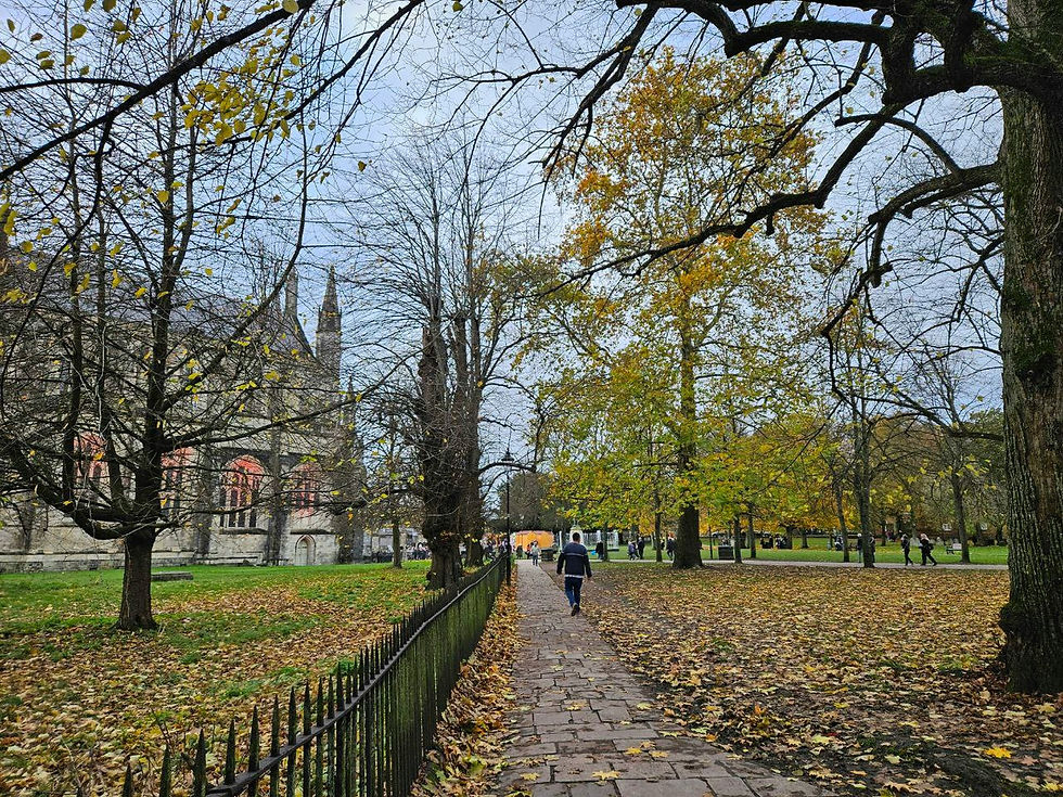 The grounds of Winchester Cathedral in Autumn.