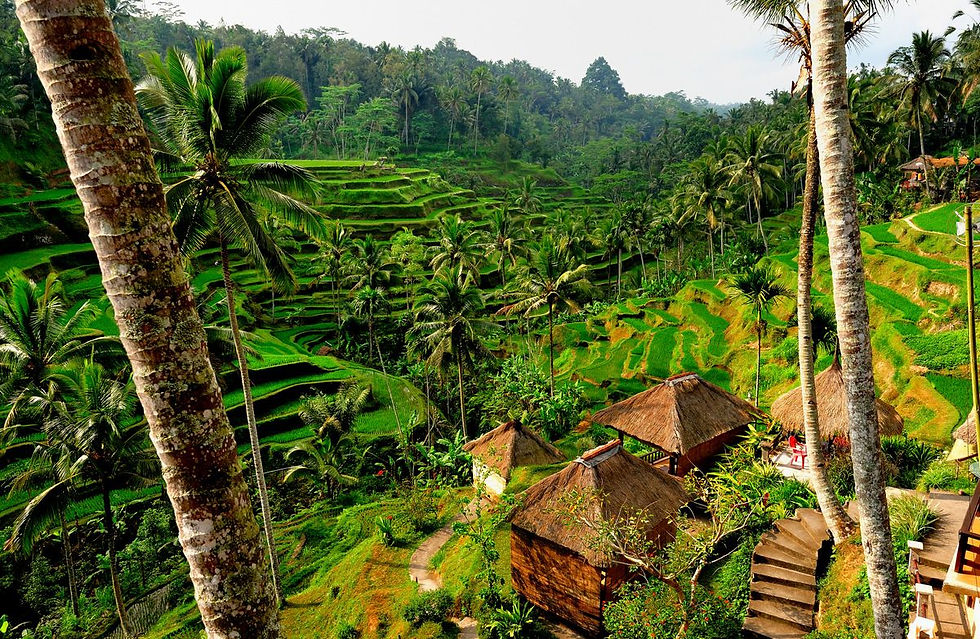 des Toraja journe 7