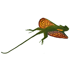 Untitled_Artwork 13.png
