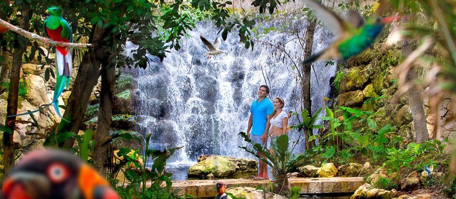 4 ACTIVIDADES QUE DEBES REALIZAR EN EL PARQUE XCARET