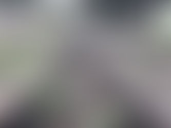 SC QUER ASSUMIR FERROVIAS PARA GARANTIR LIGAÇÃO COM PORTO DE SÃO FRANCISCO DO SUL