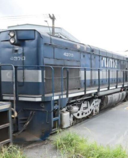 (Foto: Mauro Schlieck/ Divulgação)