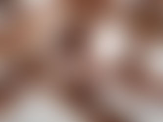 Alesc aprova projeto que extingue cotas raciais nas universidades estaduais de SC