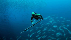 São Francisco do Sul sediará Mundial de Pesca Subaquática com atletas de 21 países