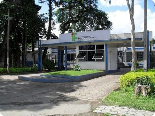 IFC Araquari abre processo seletivo para professor substituto de Letras