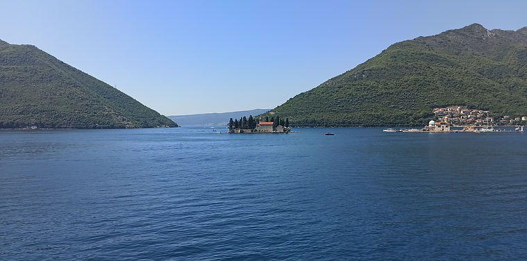 IMG_20240705_104819.jpg