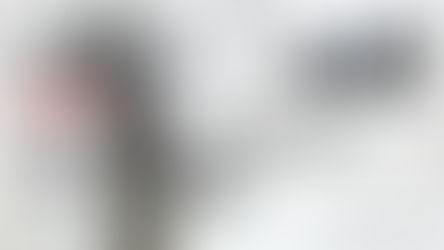 Wix Blog | neue Funktionen für deinen Wix Blog