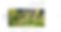 wix webseite besipiel 2024