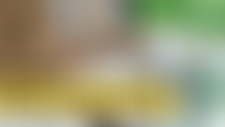 solopreneuer business kosten wix