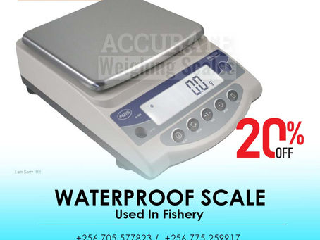 Industrial table top waterproof weighing scale digital type