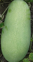 20180422_124555.jpg