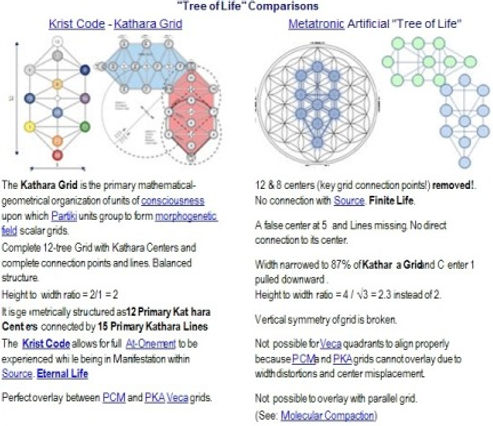 Tree of Life Comparisons
